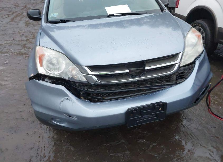 Photo 17 of 2010 Honda Cr-v EX (VIN 5J6RE4H55AL081877)