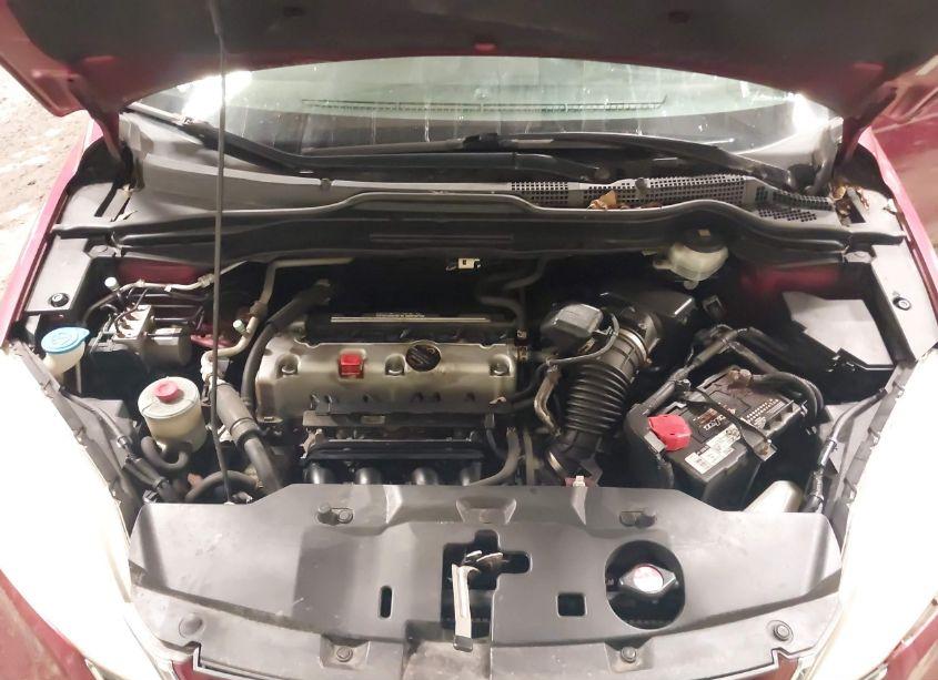 Photo 10 of 2010 Honda Cr-v EX (VIN 5J6RE4H56AL091835)