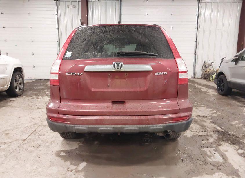 Photo 16 of 2010 Honda Cr-v EX (VIN 5J6RE4H56AL091835)
