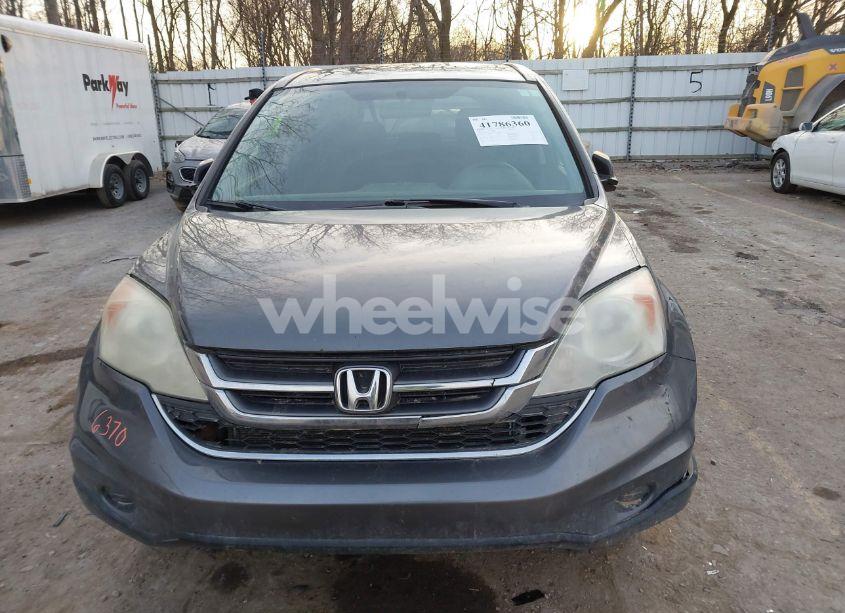 Photo 12 of 2010 Honda Cr-v EX (VIN 5J6RE4H57AL057984)