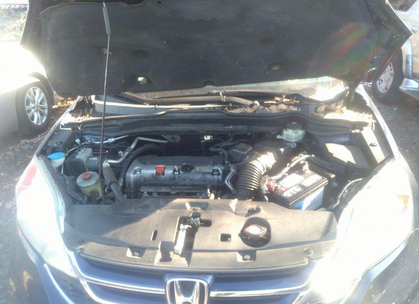 Photo 9 of 2010 Honda Cr-v EX (VIN 5J6RE4H58AL058030)