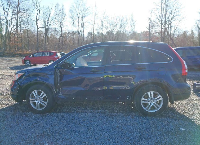 Photo 14 of 2010 Honda Cr-v EX (VIN 5J6RE4H58AL096759)