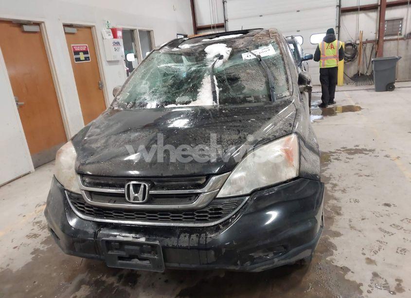 Photo 12 of 2011 Honda Cr-v EX (VIN 5J6RE4H58BL109625)