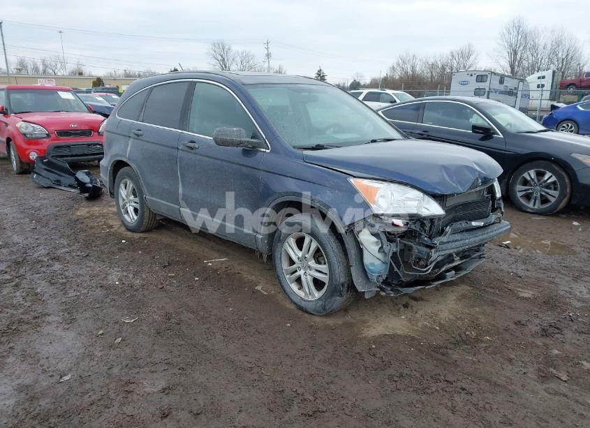 2010 Honda Cr-v EX (VIN 5J6RE4H59AL037347) main photo