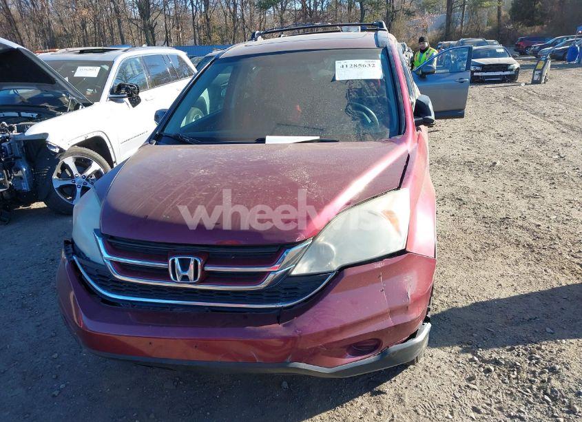 Photo 11 of 2010 Honda Cr-v EX (VIN 5J6RE4H59AL046159)