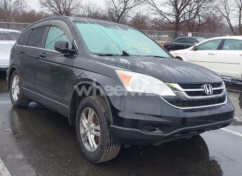 2010 Honda Cr-v EX-L (VIN 5J6RE4H70AL058346) main photo