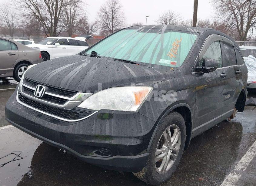Photo 2 of 2010 Honda Cr-v EX-L (VIN 5J6RE4H70AL058346)