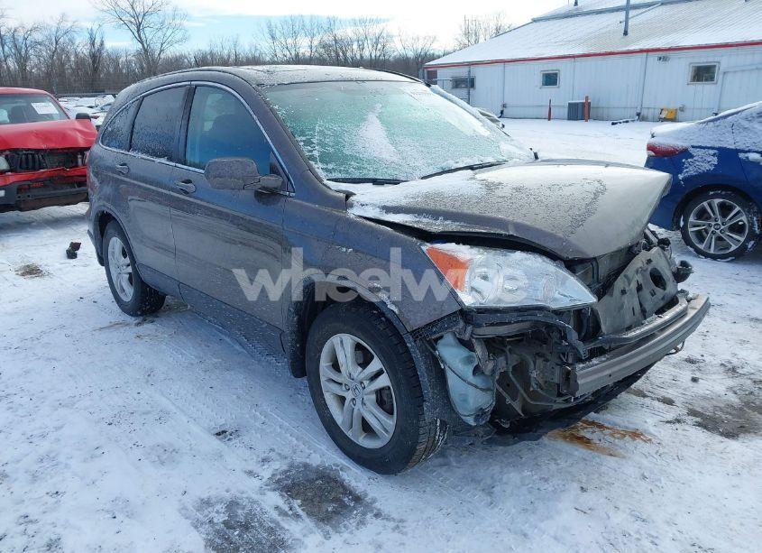 2010 Honda Cr-v EX-L (VIN 5J6RE4H70AL078905) main photo