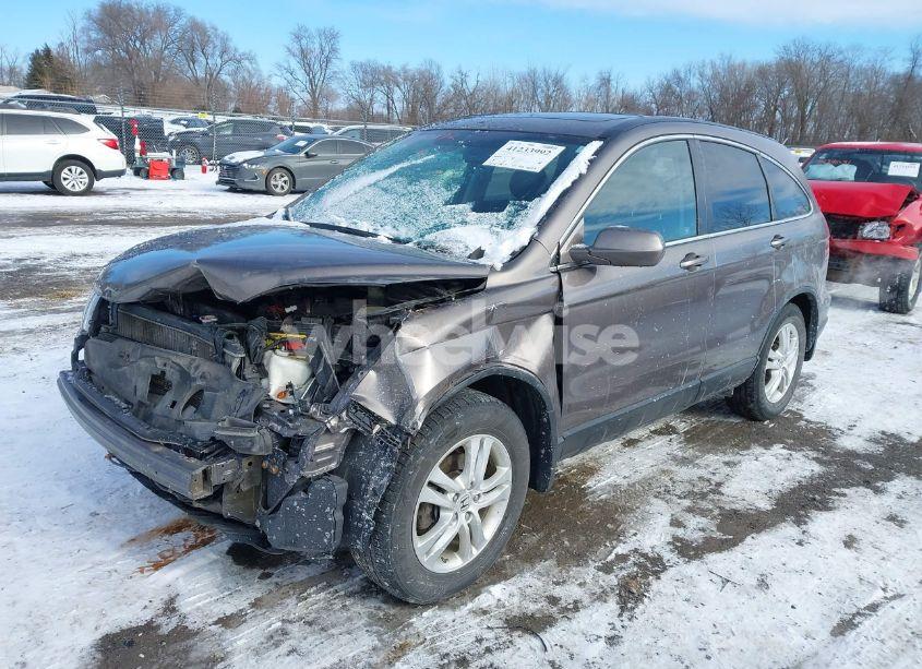 Photo 2 of 2010 Honda Cr-v EX-L (VIN 5J6RE4H70AL078905)