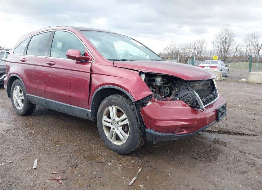 2011 Honda Cr-v EX-L (VIN 5J6RE4H70BL044724) main photo