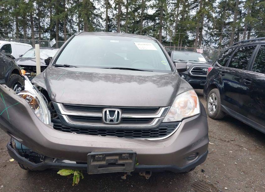 Photo 12 of 2011 Honda Cr-v EX-L (VIN 5J6RE4H70BL052144)