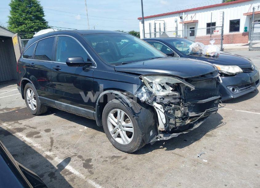 2010 Honda Cr-v EX-L (VIN 5J6RE4H71AL025386) main photo