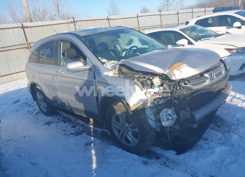 2010 Honda Cr-v EX-L (VIN 5J6RE4H71AL033200) main photo