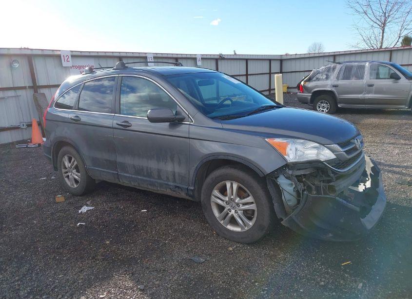 2010 Honda Cr-v EX-L (VIN 5J6RE4H71AL038333) main photo