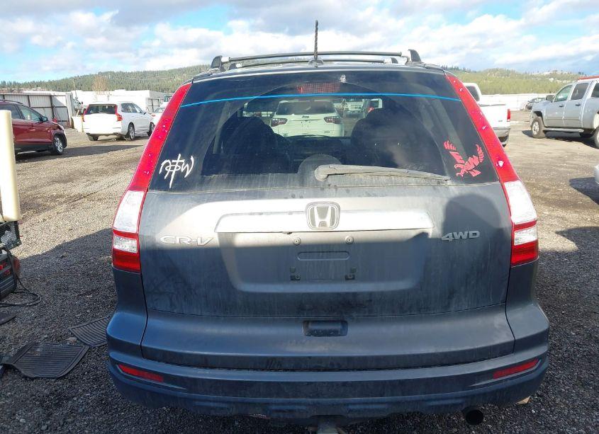 Photo 16 of 2010 Honda Cr-v EX-L (VIN 5J6RE4H71AL038333)