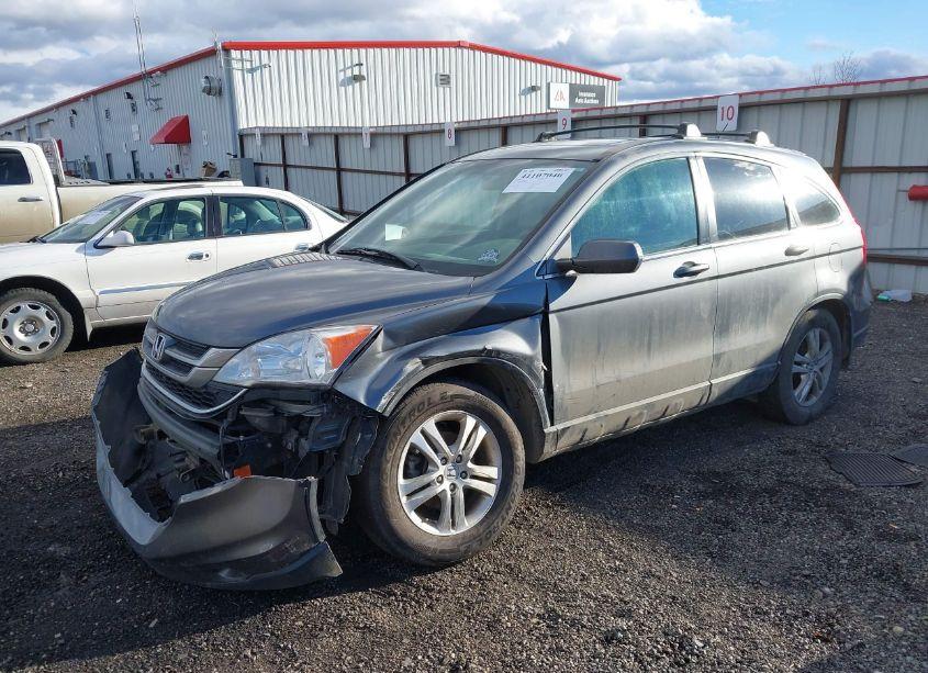 Photo 2 of 2010 Honda Cr-v EX-L (VIN 5J6RE4H71AL038333)