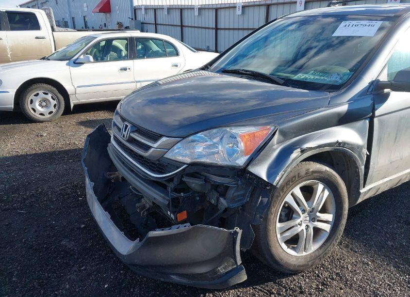 Photo 6 of 2010 Honda Cr-v EX-L (VIN 5J6RE4H71AL038333)