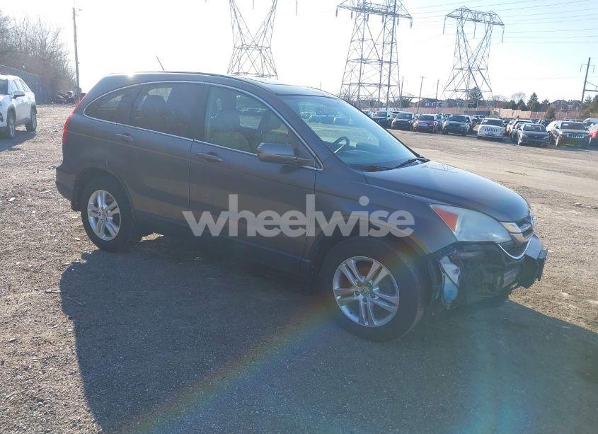 2010 Honda Cr-v EX-L (VIN 5J6RE4H71AL044357) main photo