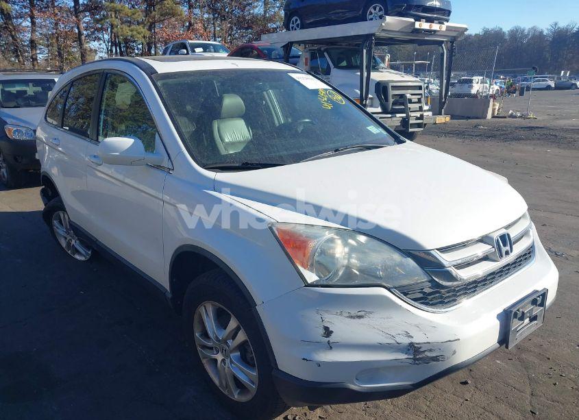 2010 Honda Cr-v EX-L (VIN 5J6RE4H71AL057495) main photo