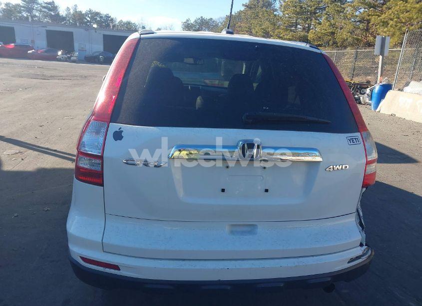 Photo 16 of 2010 Honda Cr-v EX-L (VIN 5J6RE4H71AL057495)