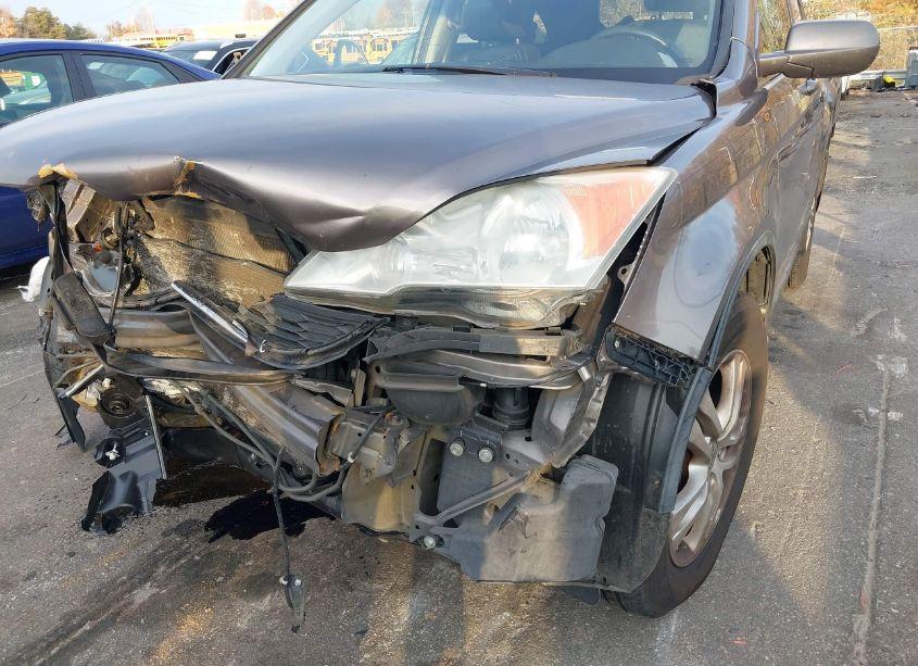 Photo 17 of 2011 Honda Cr-v EX-L (VIN 5J6RE4H71BL084441)