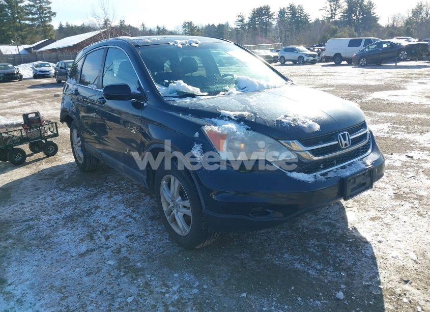 2010 Honda Cr-v EX-L (VIN 5J6RE4H72AL016972) main photo