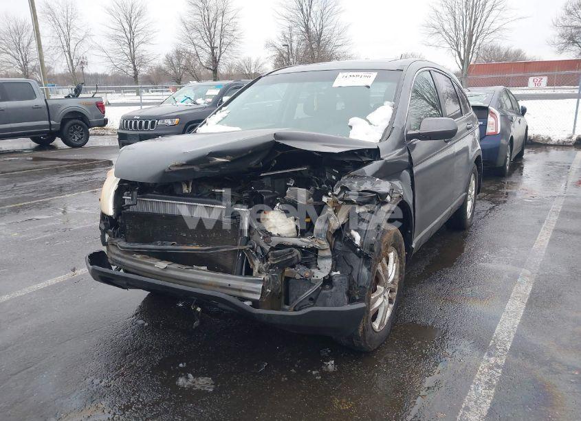 Photo 6 of 2010 Honda Cr-v EX-L (VIN 5J6RE4H72AL036218)