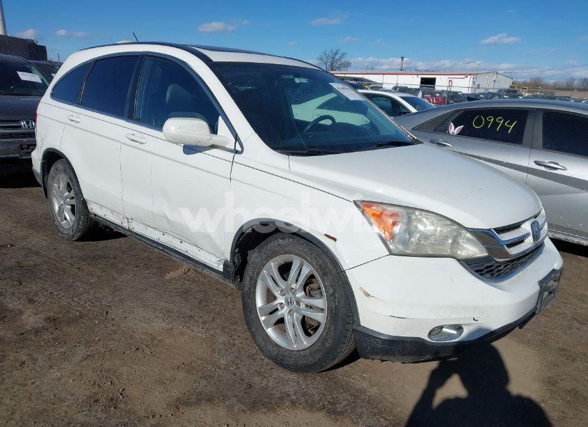 2010 Honda Cr-v EX-L (VIN 5J6RE4H72AL098718) main photo