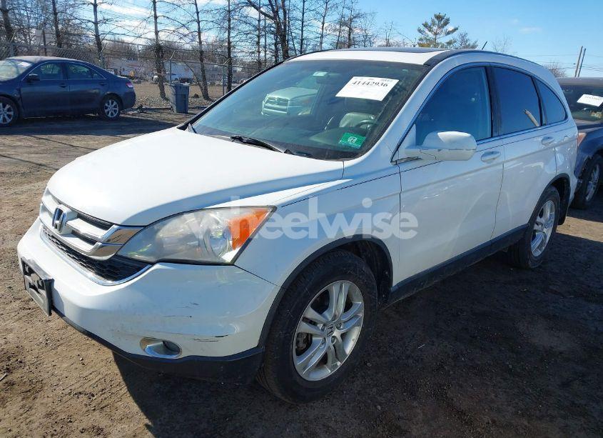 Photo 2 of 2010 Honda Cr-v EX-L (VIN 5J6RE4H72AL098718)