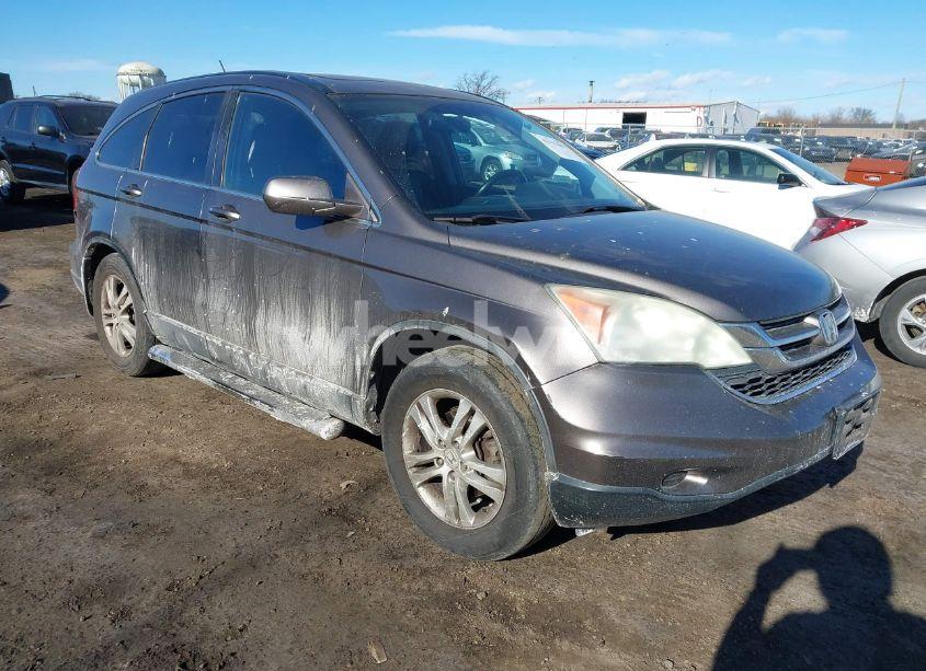 2010 Honda Cr-v EX-L (VIN 5J6RE4H73AL054646) main photo