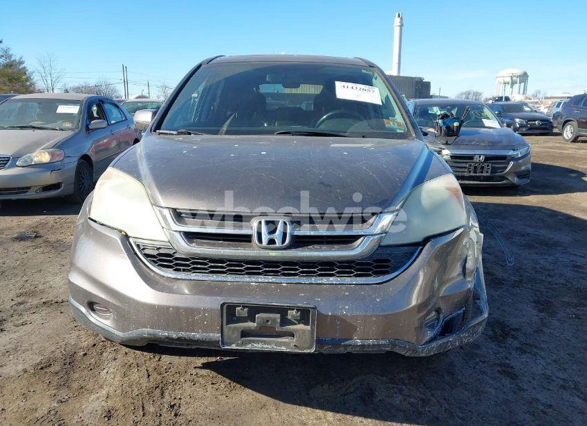 Photo 12 of 2010 Honda Cr-v EX-L (VIN 5J6RE4H73AL054646)