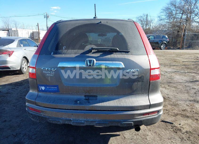 Photo 16 of 2010 Honda Cr-v EX-L (VIN 5J6RE4H73AL054646)