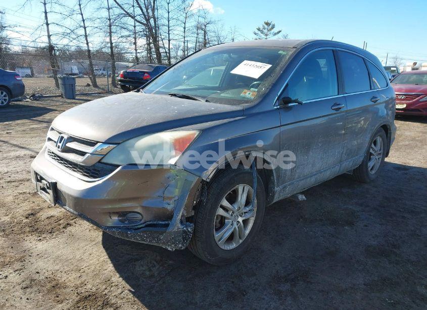 Photo 2 of 2010 Honda Cr-v EX-L (VIN 5J6RE4H73AL054646)