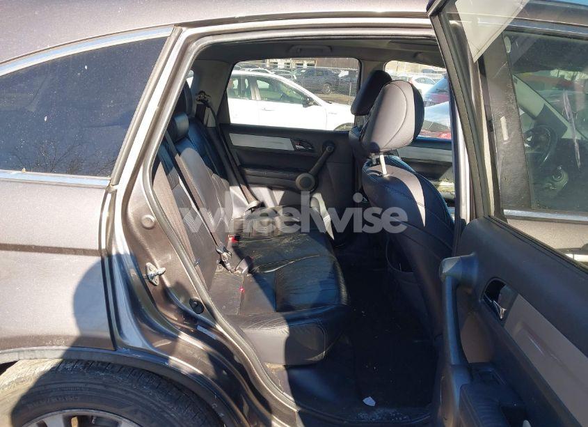 Photo 8 of 2010 Honda Cr-v EX-L (VIN 5J6RE4H73AL054646)