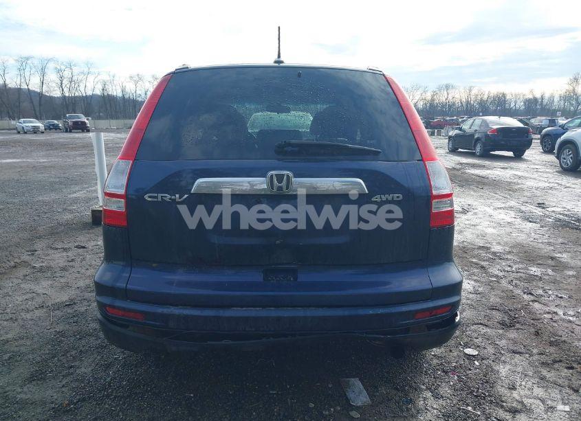 Photo 16 of 2010 Honda Cr-v EX-L (VIN 5J6RE4H73AL072726)