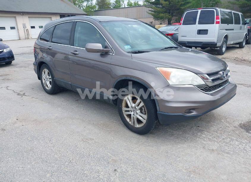 2010 Honda Cr-v EX-L (VIN 5J6RE4H73AL077344) main photo