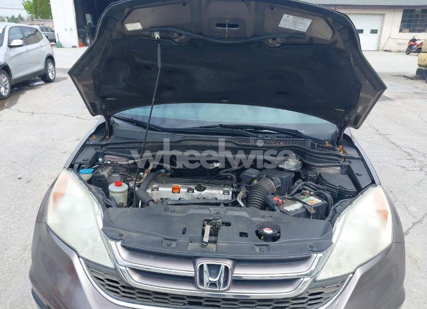 Photo 10 of 2010 Honda Cr-v EX-L (VIN 5J6RE4H73AL077344)