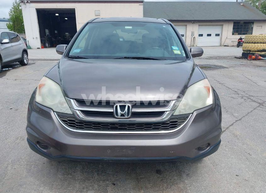 Photo 12 of 2010 Honda Cr-v EX-L (VIN 5J6RE4H73AL077344)