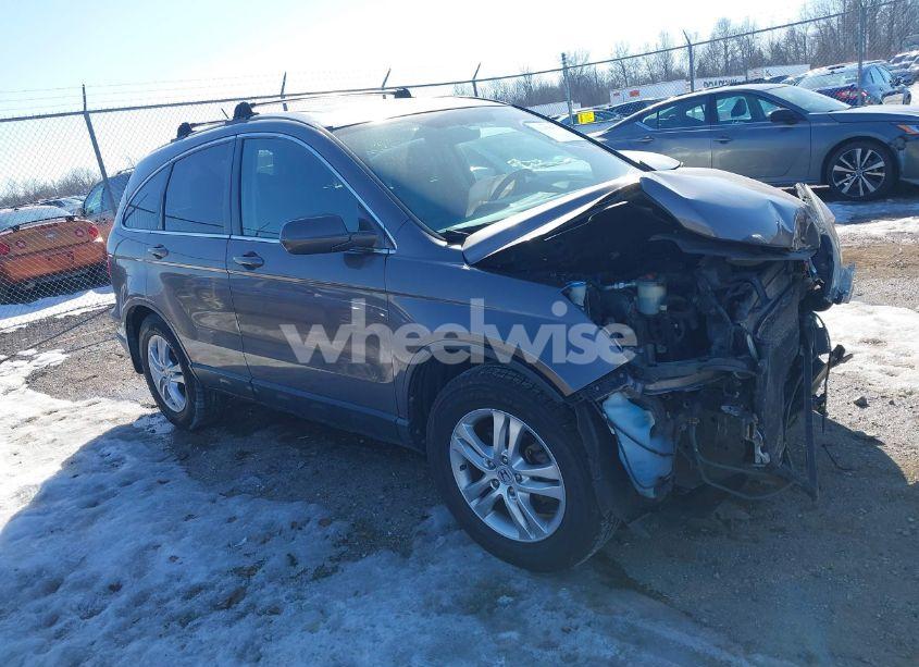 2010 Honda Cr-v EX-L (VIN 5J6RE4H73AL089333) main photo