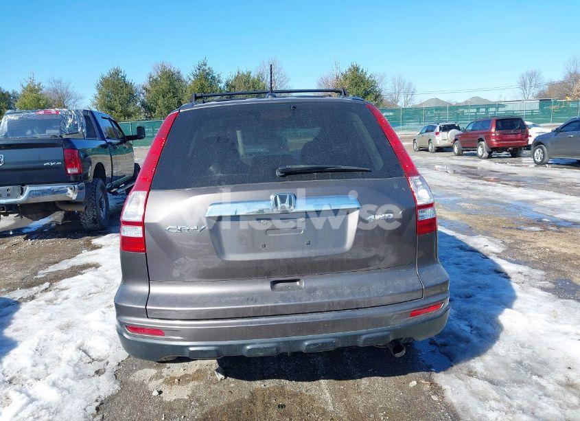 Photo 16 of 2010 Honda Cr-v EX-L (VIN 5J6RE4H73AL089333)