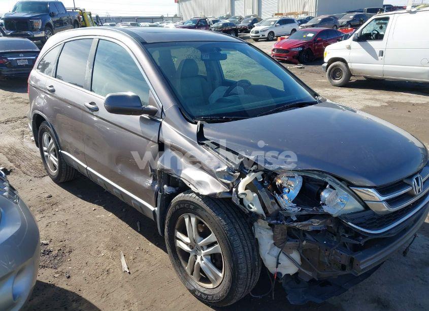 2010 Honda Cr-v EX-L (VIN 5J6RE4H73AL099487) main photo