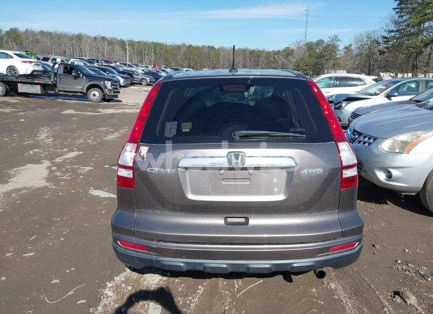 Photo 17 of 2010 Honda Cr-v EX-L (VIN 5J6RE4H73AL099487)