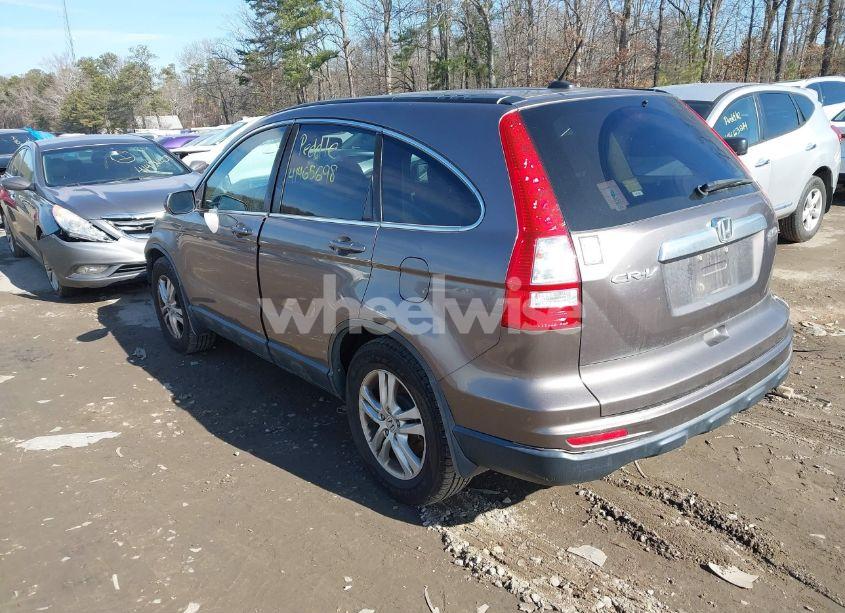 Photo 3 of 2010 Honda Cr-v EX-L (VIN 5J6RE4H73AL099487)