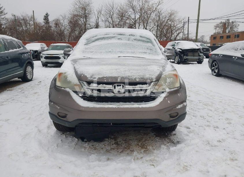 Photo 12 of 2011 Honda Cr-v EX-L (VIN 5J6RE4H73BL022409)