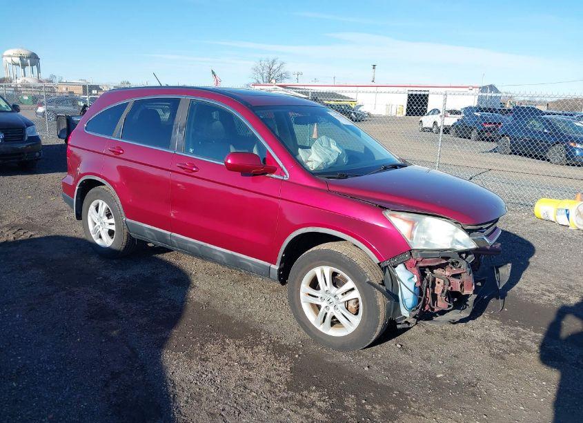 2010 Honda Cr-v EX-L (VIN 5J6RE4H74AL003950) main photo