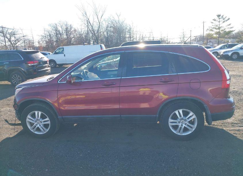 Photo 14 of 2010 Honda Cr-v EX-L (VIN 5J6RE4H74AL003950)