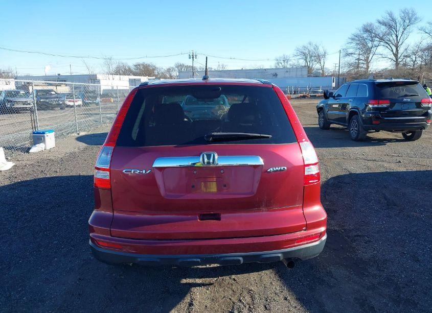 Photo 16 of 2010 Honda Cr-v EX-L (VIN 5J6RE4H74AL003950)