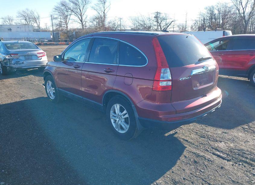 Photo 3 of 2010 Honda Cr-v EX-L (VIN 5J6RE4H74AL003950)