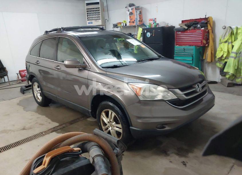 2010 Honda Cr-v EX-L (VIN 5J6RE4H74AL016357) main photo