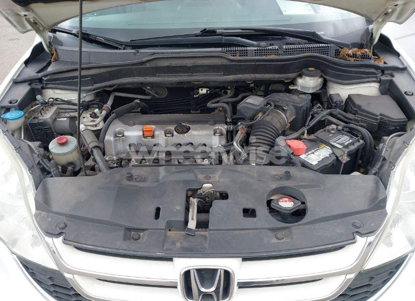 Photo 10 of 2010 Honda Cr-v EX-L (VIN 5J6RE4H74AL054137)